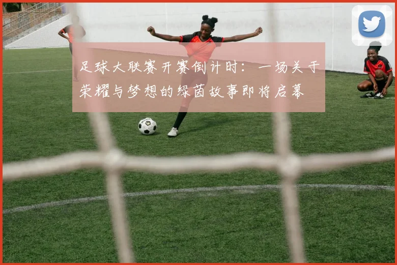 足球大联赛开赛倒计时:一场关于荣耀与梦想的绿茵故事即将启幕