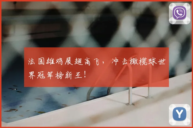 法国雄鸡展翅高飞，冲击橄榄球世界冠军榜新王！